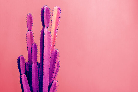Trendy neon cactus against an orange wall. Minimal creative style or fashion concept.