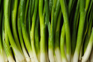 Fresh green spring onions as background, top view
