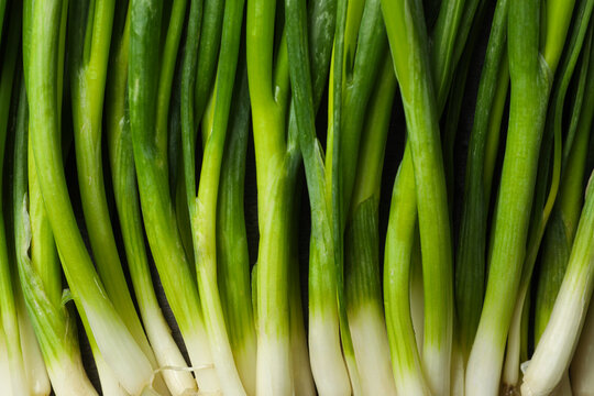 Fresh green spring onions as background, top view