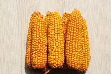 Delicious ripe corn cobs on white wooden table, top view