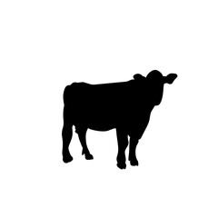 Silhouette Cow