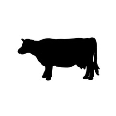Silhouette Cow