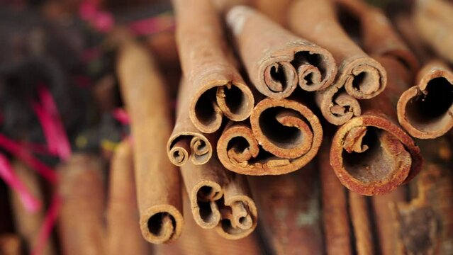 Smooth dolly of harvested cinnamon quills. Spice from tree bark. Agriculture