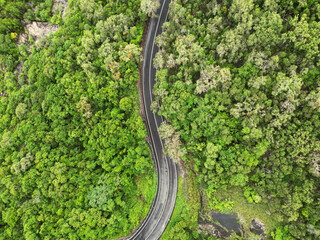bird view drone shot road in green forest