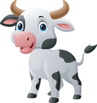 Cute baby cow cartoon on white background