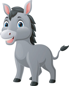 Cute baby donkey cartoon on white background