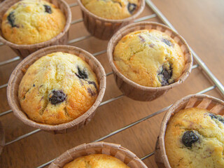 お菓子作り　ブルーベリーマフィン