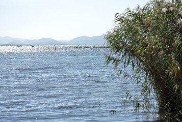 堅田　湖畔の風景　滋賀県大津市