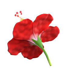 3d hibiscus flower illustration © uparrow 