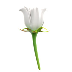 white rose flower 3d illustration