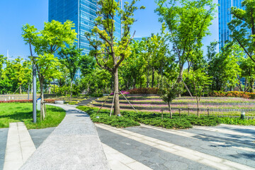 Fototapeta premium beautiful park at a sunny day, shanghai, china.