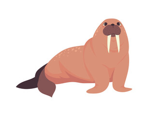 walrus arctic animal