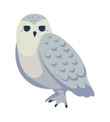 owl arctic animal