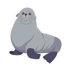 monk seal arctic animal