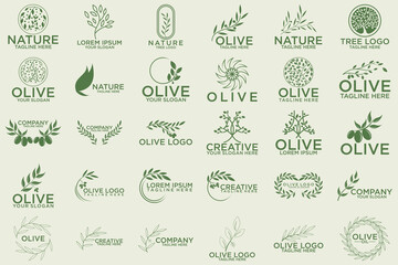 Green olives and organic oil symbols isolated on white background, such a logo template
