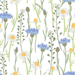 seamless pattern with blue cornflowers, shepherd's purse and chamomiles, field flowers, vector drawing wild plants at white background, floral elements, hand drawn botanical illustration