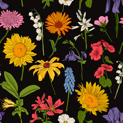 vector drawing seamless pattern with wild flowers and plants at black background, hand drawn natural illustration
