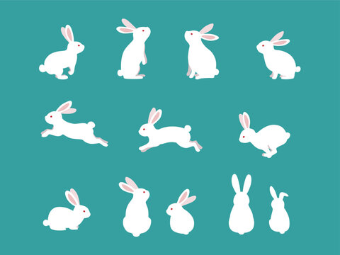 Cute white rabbits in various poses. Rabbit animal icon isolated on background.