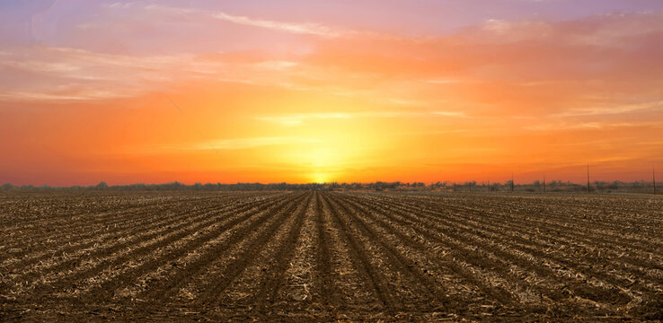 plowed field at sunset
