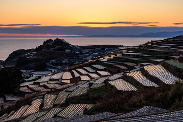 島原半島だんだん畑