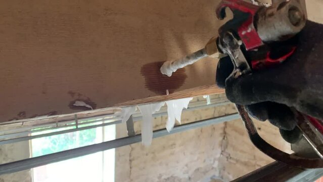 Pest Control Services - Worker Inject Preservative Treatment Against Wood Borers Insects - Close Up
