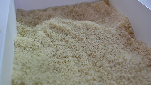 Closeup of the rice displayed during the Gulf Food Exhibition in the United Arab Emirates.