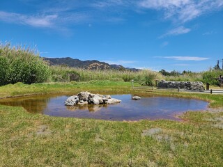 A pond surrounds the Old Faithful Geyser in Napa, California
