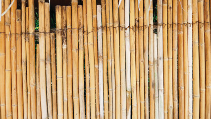 bamboo background