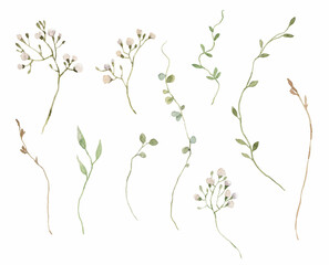 Beautiful floral set with hand drawn watercolor gentle wild herbs and flowers. Stock illustration.