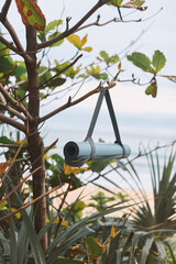 Turquoise yoga mat hanging from tree in front of sea horizon. Background. Before outdoor exercises