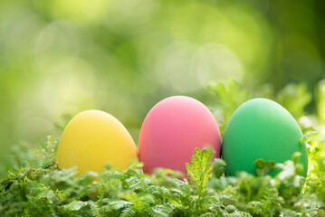 Easter eggs on nature boken background.