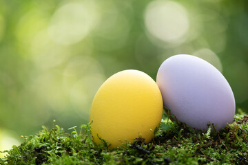 Easter eggs on nature boken background.