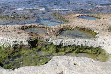 Rocky shore of the Mediterranean Sea in northern Israel.