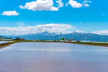 Vast blue sky and white clouds over paddy farmland field in a beautiful sunny day in springtime. Panoramic rural landscape with mountains.