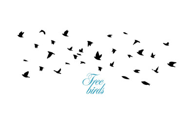 A flock of flying birds. Free birds. Vector illustration
