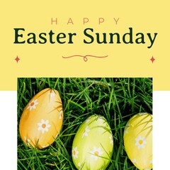 Image of happy easter sunday text over easter eggs on grass