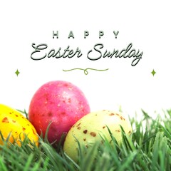 Image of happy easter sunday text over chocolate easter eggs on grass