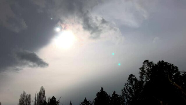 Cinematic silhouette of dog catching frisbee in the air.  Slow motion.  Dog blocks the sun.