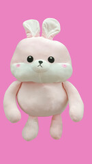 Fototapeta na wymiar soft pink rabbit toy isolated at pink background.