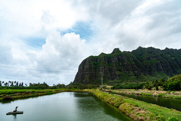 Fototapeta na wymiar Kualoa Ranch nature reserve in Hawaii