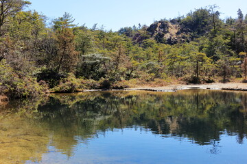 山の中にある小さな池と森の緑