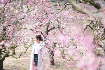 公園の梅の花と女性