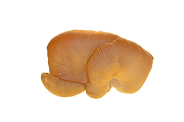 mushrooms isolated on white background