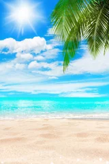 Tuinposter Tropical island paradise beach, green coconut palm tree leaf, sand, blue sea water turquoise ocean, sun sky white cloud, beautiful landscape, summer holidays, vacation, travel banner, empty copy space © Vera NewSib