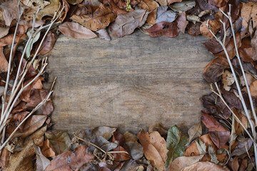 Border frame top view variety of dry wilted Autumn Fall leaves twigs rustic timber background copy space