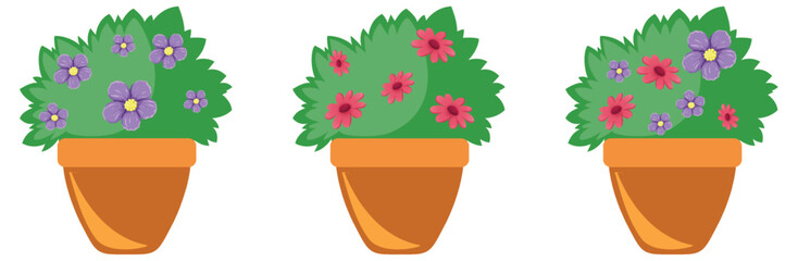 Potted flower bush on white background
