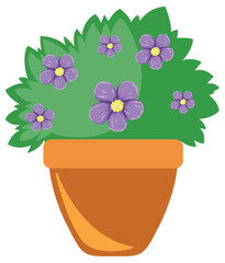 Potted flower bush on white background