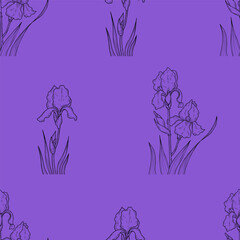 Floral seamless pattern with blooming iris flower with buds and leaves on purple background. Linear hand drawn of iris flower. Vector illustration. Botanical pattern for decor, design, packaging.