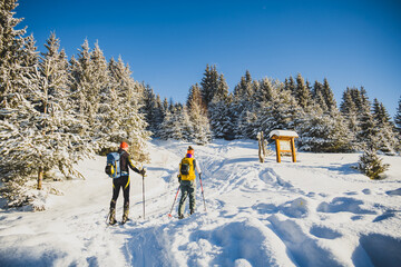 Mountaineer backcountry ski walking ski alpinist in the mountains. Ski touring in alpine landscape with snowy trees. Adventure winter sport. Kralova hola, Slovakia © Zedspider