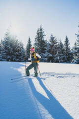 Mountaineer backcountry ski walking ski alpinist in the mountains. Ski touring in alpine landscape with snowy trees. Adventure winter sport. Kralova hola, Slovakia © Zedspider
